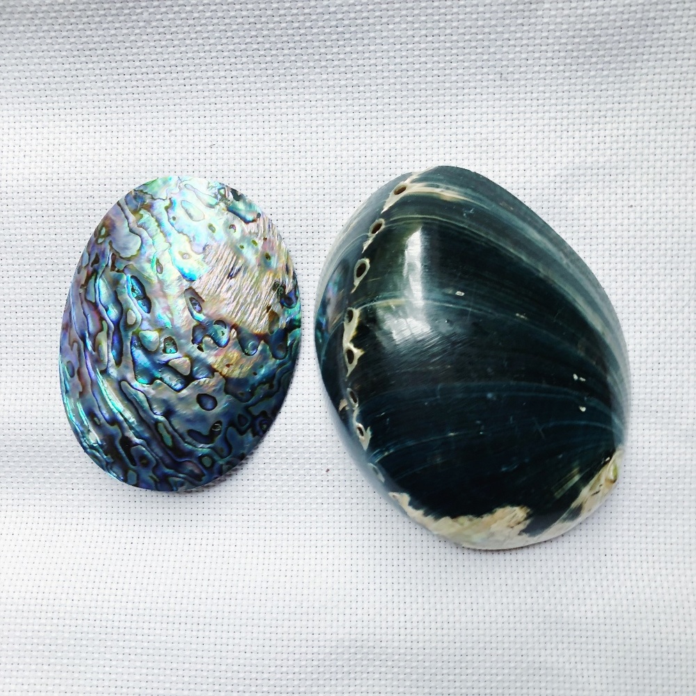 Beachy Vintage Seashell Beach Buckles - set of 2